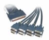 CAB-OCT-X21-MT