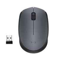 Mouse M170