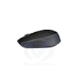 Mouse M171 (Sans fil - Noir) 910-004424
