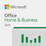 Office Home and Business 2024 All Lng Retail Online Africa Only ESD