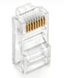 FICHE RESEAU RJ45 CAT6 UTP 1ER CHOIX Sachet de 100 pieces RJ45CAT6V2