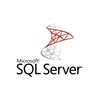 SQL Server 2022 Standard Edition Perpetual 1 Server License