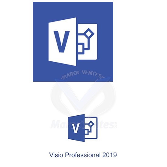 Visio Professional 2019 ESD Multi-Langues D87-07425
